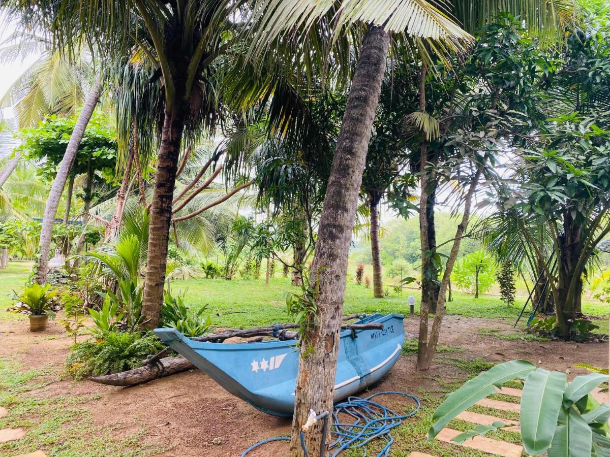 Hidden Garden Тангалле Екстер'єр фото